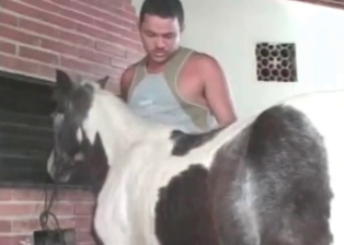Horse ass licked by Latina slut